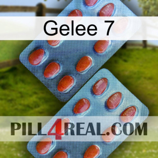 Jelly 7 05